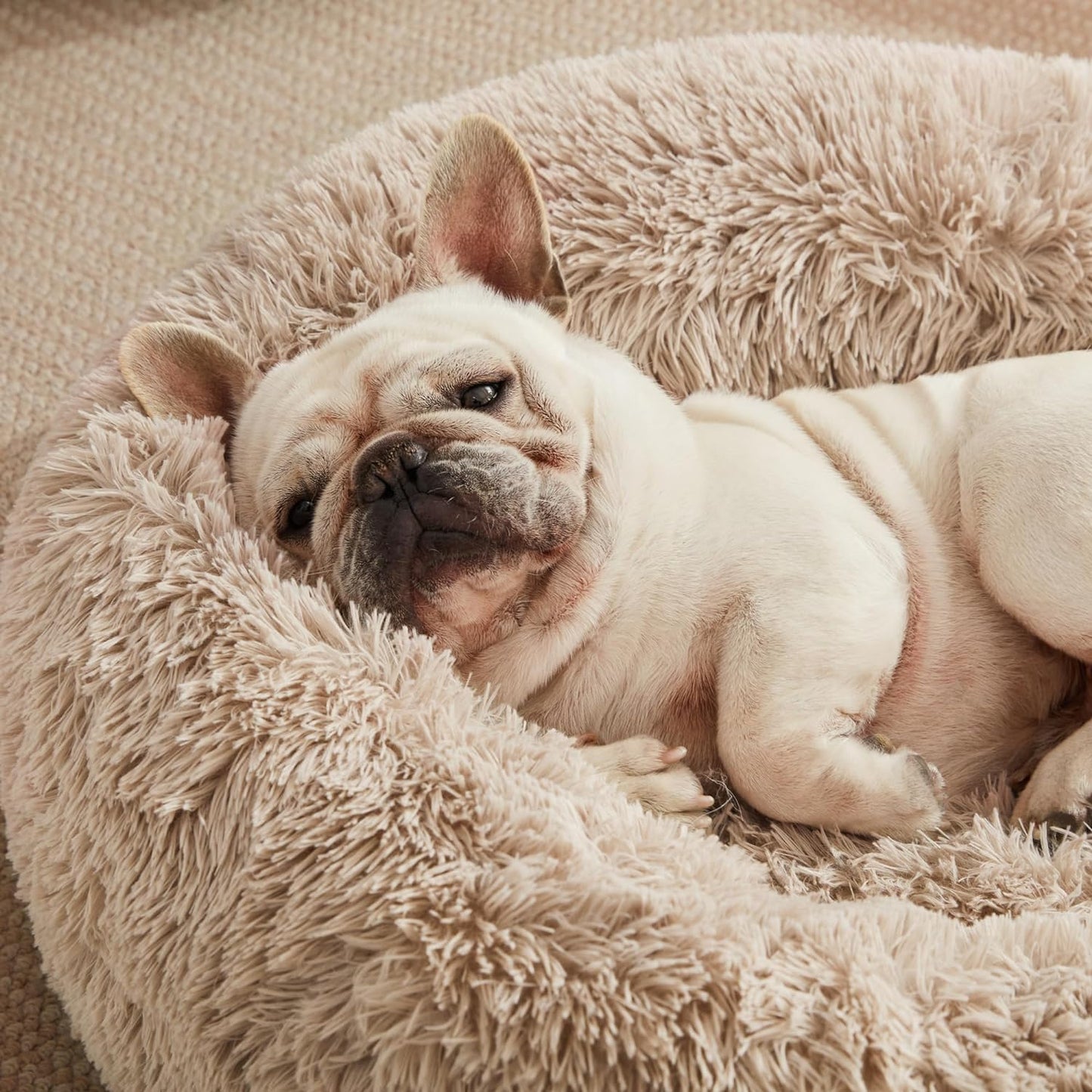 20In Cat Beds for Indoor Cats - Cat Bed with Machine Washable, Waterproof Bottom - Taupe Fluffy Dog and Cat Calming Cushion Bed for Joint-Relief and Sleep Improvement