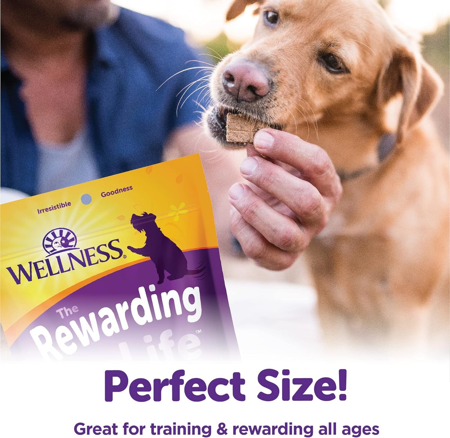 Rewarding Life Grain-Free Soft Dog Treats, Made in USA with Healthy Ingredients, Ideal for Training (Chicken & Lamb Recipe, 6-Ounce Bag)