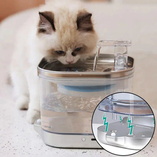 2L Intelligent Cat Water Fountain: Optimal Hydration Solution